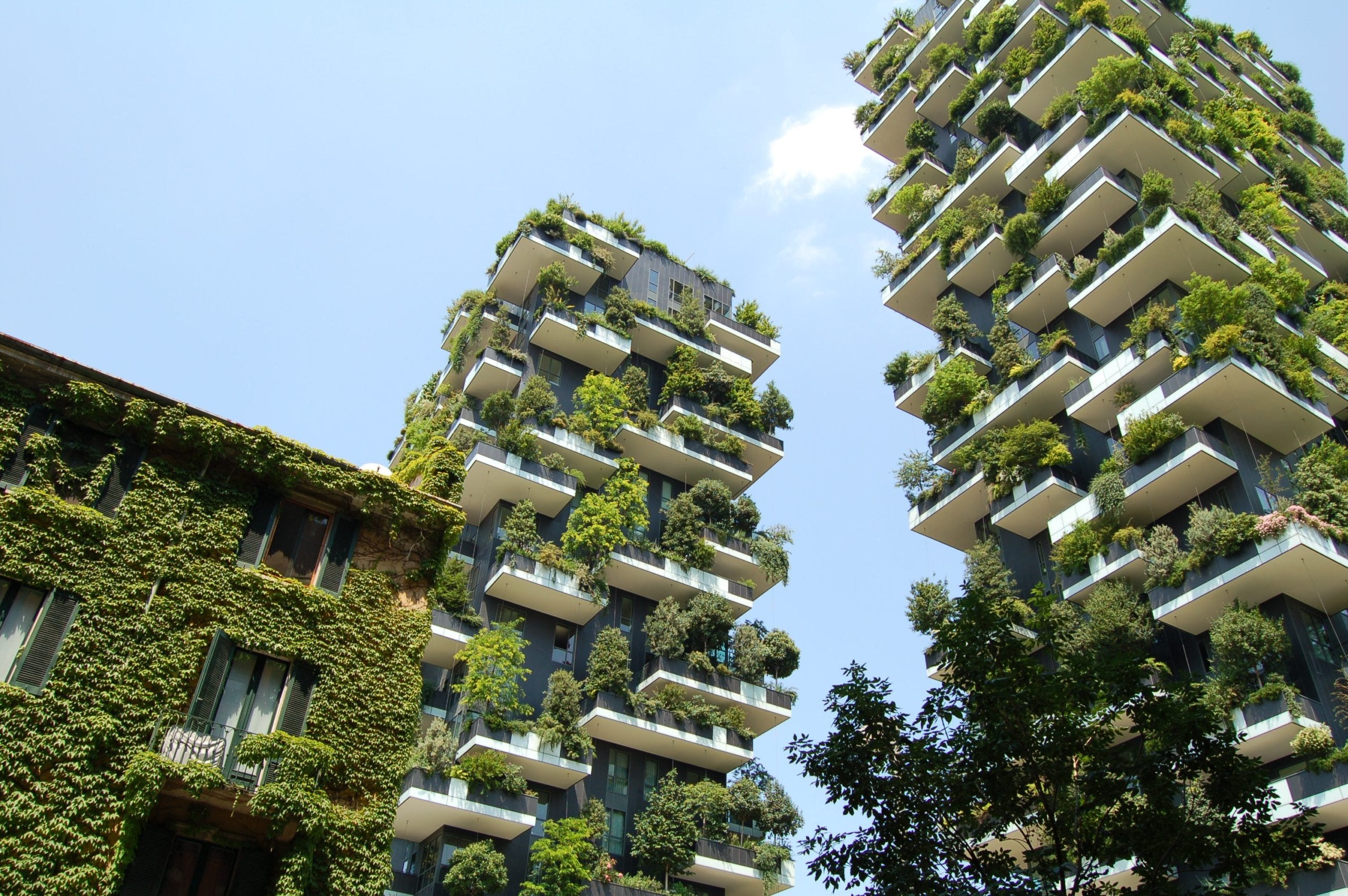 Why Green Building May Be a Key to Affordable Housing - Biofriendly Planet  | For a Cooler Environment