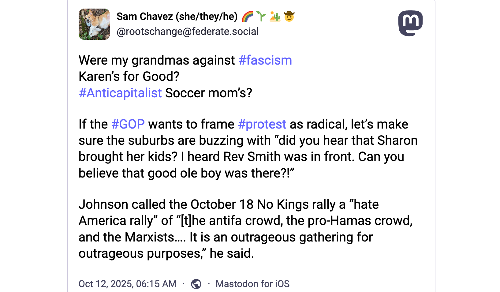Were my grandmas against #fascism  Karen’s for Good? #Anticapitalist Soccer mom’s?If the #GOP wants to frame #protest as radical, let’s make sure the suburbs are buzzing with “did you hear that Sharon brought her kids? I heard Rev Smith was in front. Can you believe that good ole boy was there?!”   Johnson called the October 18 No Kings rally a “hate America rally” of “[t]he antifa crowd, the pro-Hamas crowd, and the Marxists…. It is an outrageous gathering for outrageous purposes,” he said.
