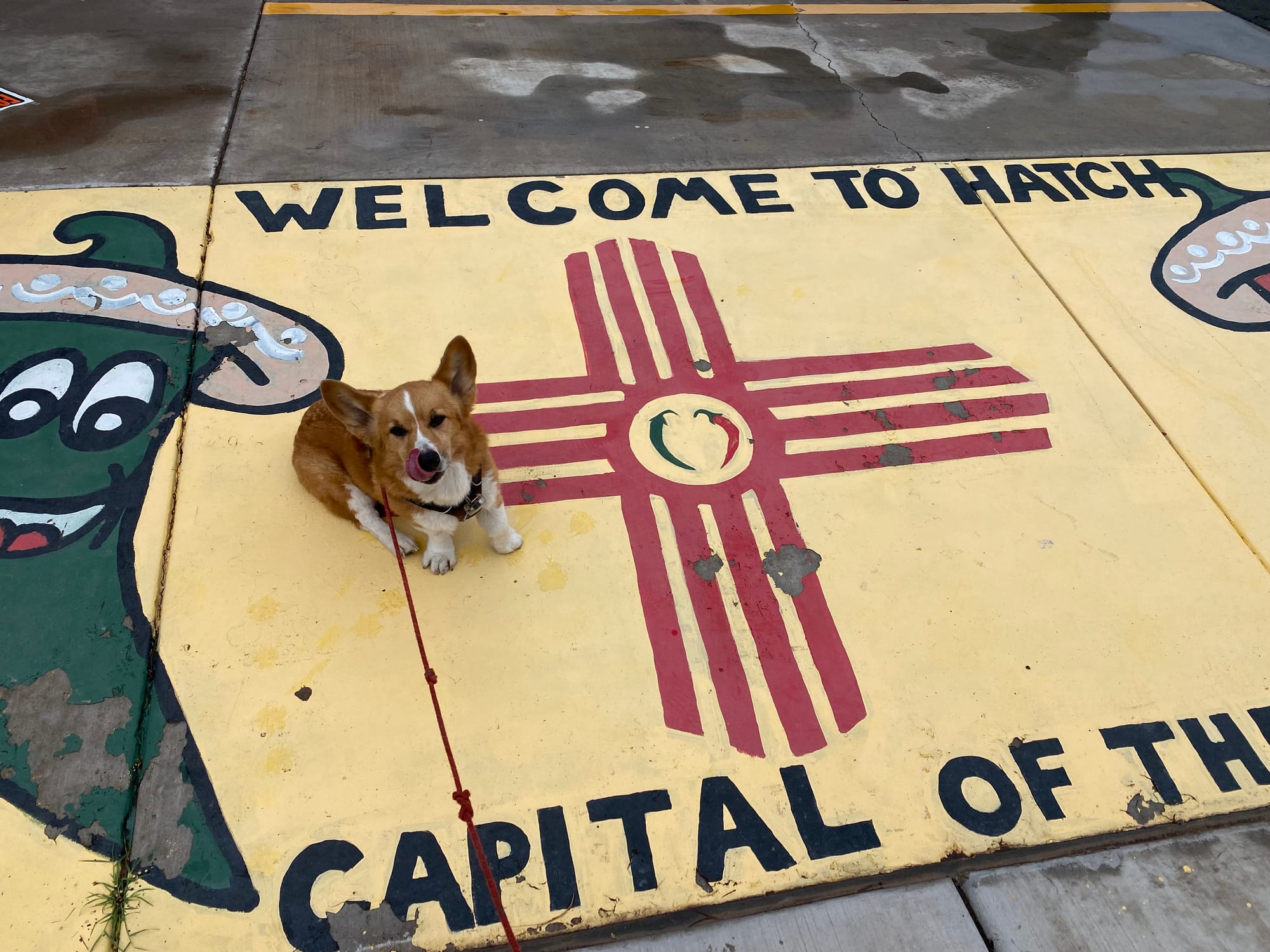 A corgi licks his chops while sitting on a yellow painted concrete with a green & red hatch chiles painted with smiles. Text reads “Welcome to Hatch. Capital of the Hatch Chile . 